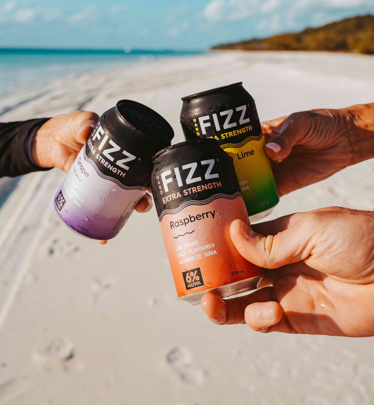 High Fizz Hard Fizz ~ Sparkling Hard Seltzer – Hard Fizz Sparkling Hard Seltzer